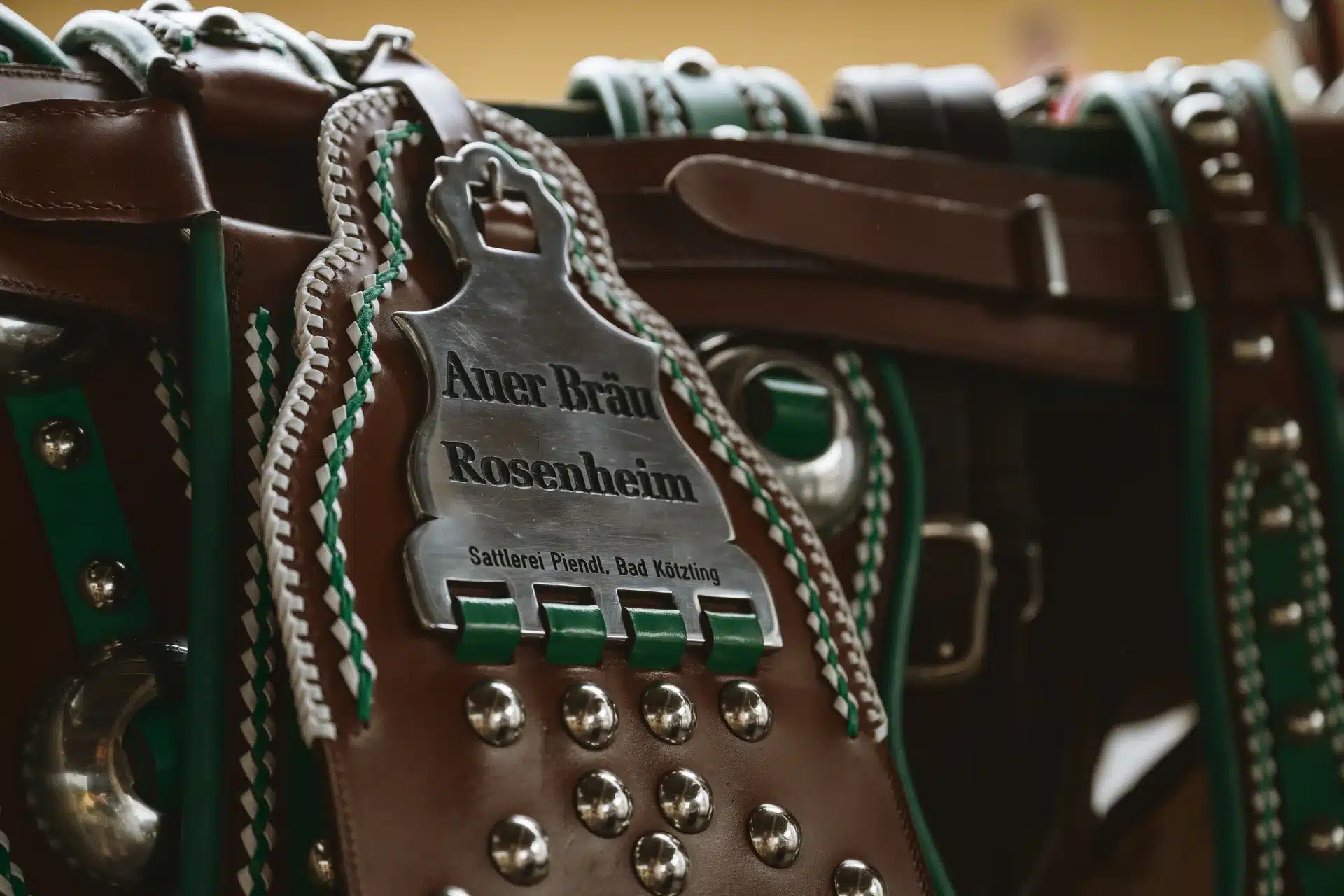 Auer-Wiesneinzug-2025-1112