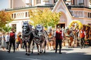 Rosenheimer Herbstfest Umzug mit einer Pferdekutsche durch die Rosenheimer Innenstadt