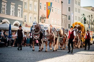 Rosenheimer Herbstfest Umzug mit einer Pferdekutsche durch die Rosenheimer Innenstadt